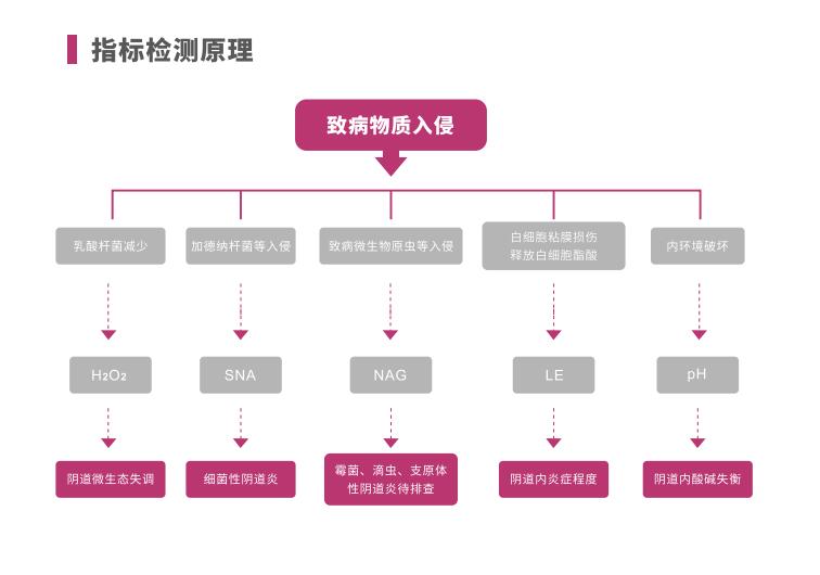 全自动阴道炎麻豆影视在线直播视频LTS-V400指标检测原理