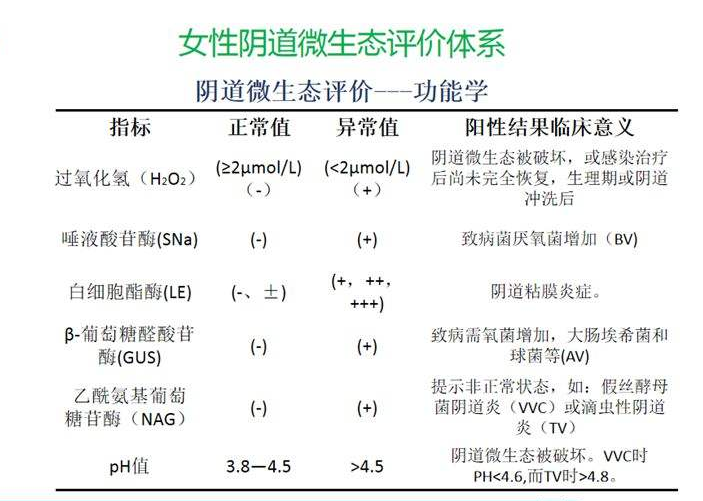 妇科微生态麻豆影视在线直播视频器